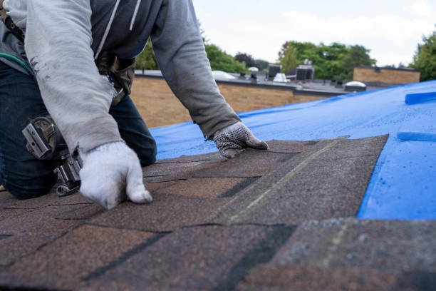 Best Commercial Roofing Services  in Waldo, FL
