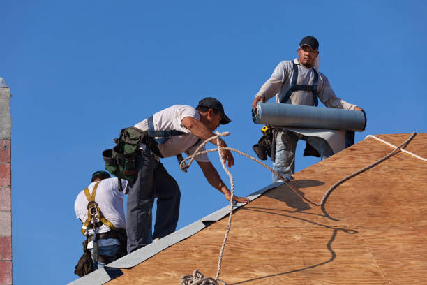 Quick and Trustworthy Emergency Roof Repair Services in Waldo, FL