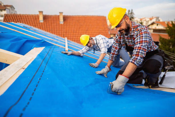 Quick and Trustworthy Emergency Roof Repair Services in Waldo, FL