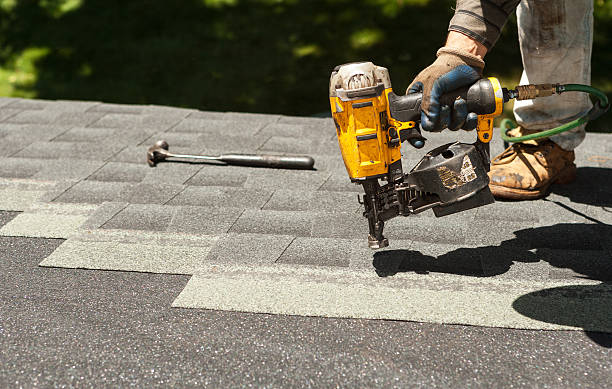 Best Shingle Roofing Installation  in Waldo, FL